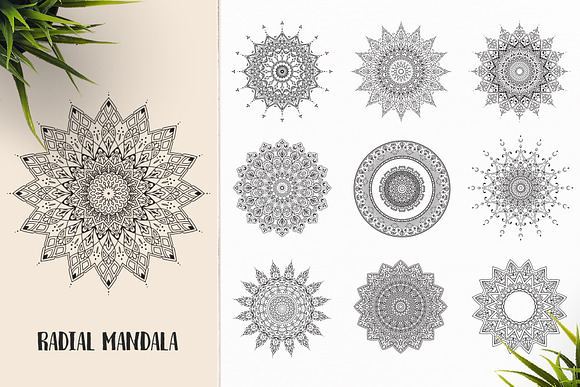 530 Vector Mandala Ornaments Bundle in Illustrations - product preview 46