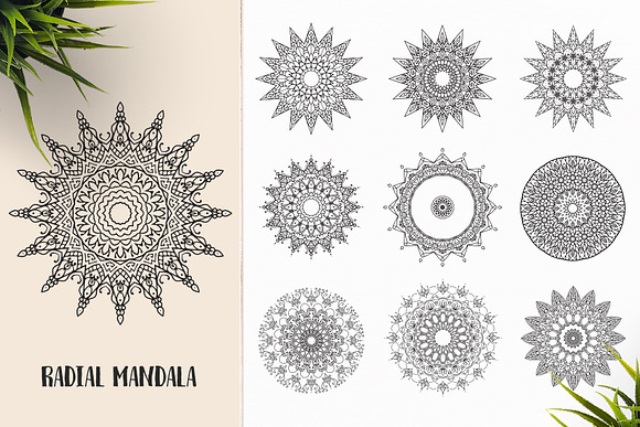 530 Vector Mandala Ornaments Bundle in Illustrations - product preview 47