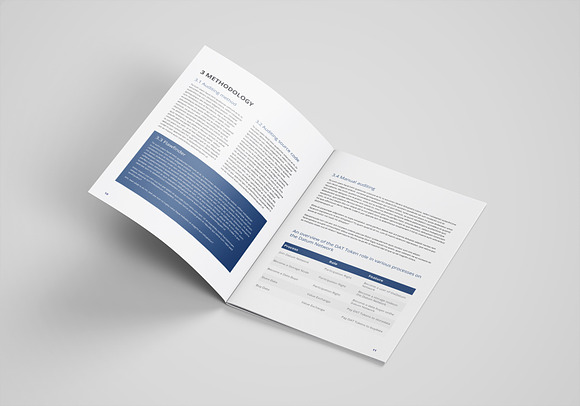 White Paper 30 Pages in Brochure Templates - product preview 4