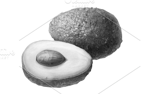 Avocado Pencil Illustration Isolated in Illustrations - product preview 1