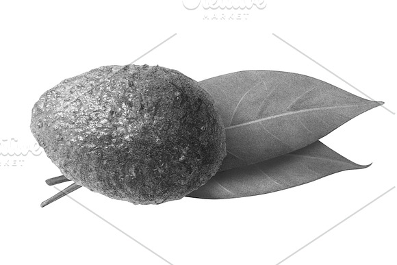 Avocado Pencil Illustration Isolated in Illustrations - product preview 3