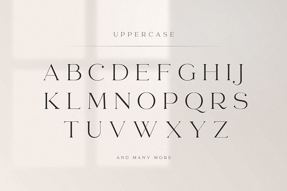 abigail - unique ligature font in Display Fonts - product preview 14