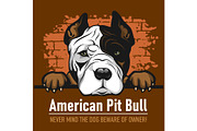 American Pit Bull - Peeking Dogs -