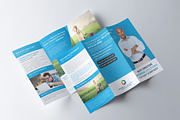 Global Business Trifold Brochure