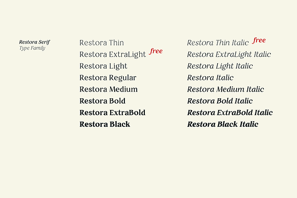 Restora - 16 Fonts in Display Fonts - product preview 10