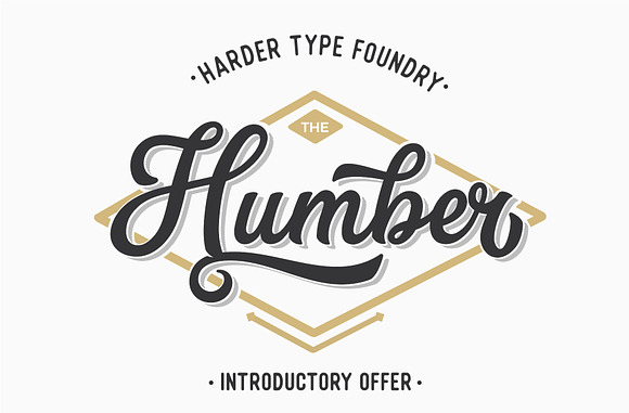 HRDR FONT BUNDLE! in Display Fonts - product preview 18