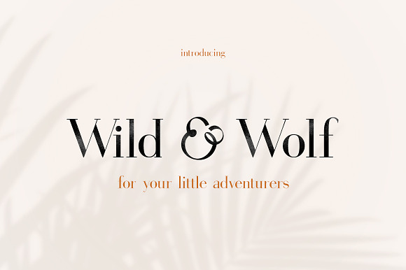 Gorgeous Serif Font in Serif Fonts - product preview 3