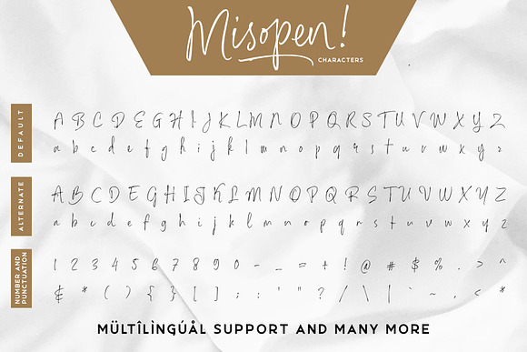 Misopen + Bonus 2 Font in Script Fonts - product preview 7