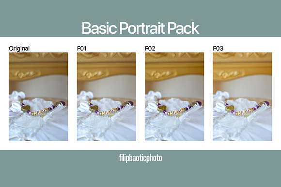 Basic Portrait Pack in Add-Ons - product preview 1