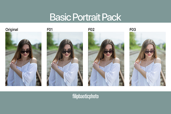 Basic Portrait Pack in Add-Ons - product preview 2