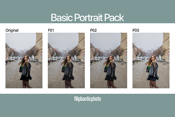 Basic Portrait Pack in Add-Ons - product preview 3