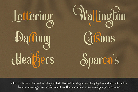 Roller Coaster Serif (Bonus) in Serif Fonts - product preview 4