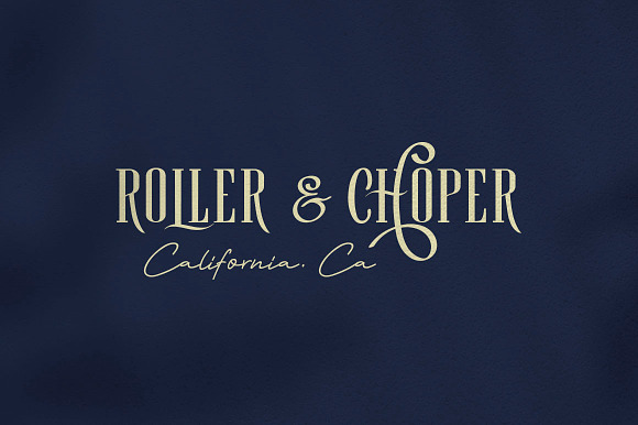 Roller Coaster Serif (Bonus) in Serif Fonts - product preview 7