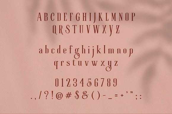 Roller Coaster Serif (Bonus) in Serif Fonts - product preview 17