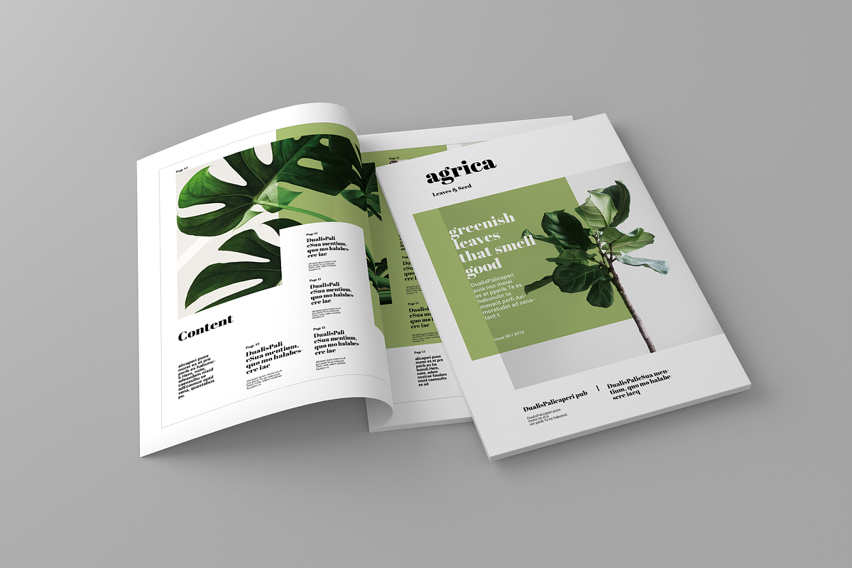 Agrica - Magazine Template in Magazine Templates - product preview 8
