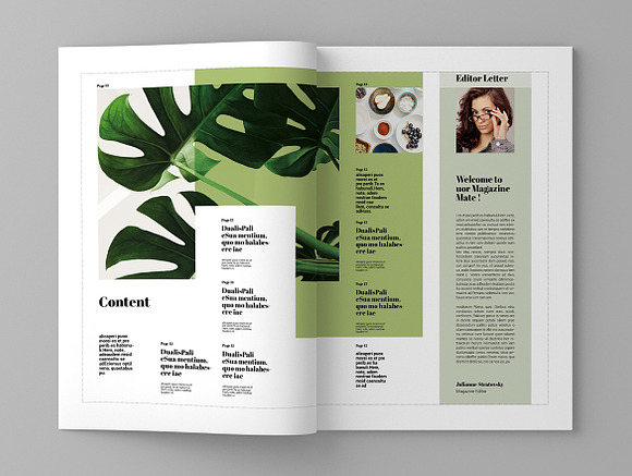 Agrica - Magazine Template in Magazine Templates - product preview 2