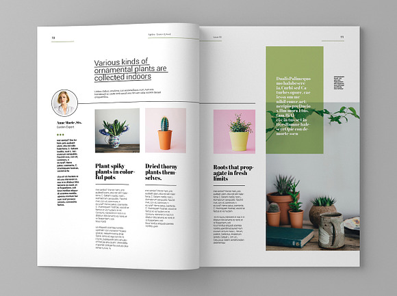 Agrica - Magazine Template in Magazine Templates - product preview 6