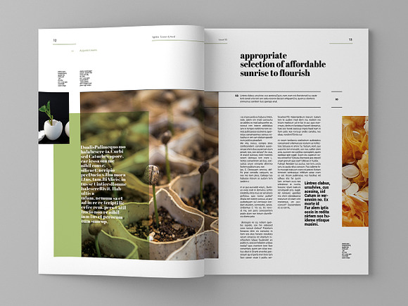 Agrica - Magazine Template in Magazine Templates - product preview 7