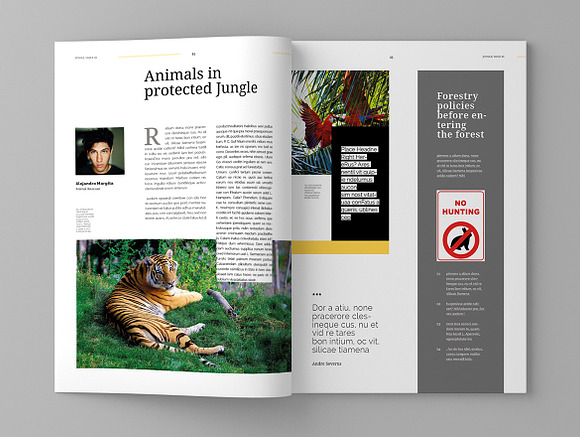 Jungle - Magazine Template in Magazine Templates - product preview 8