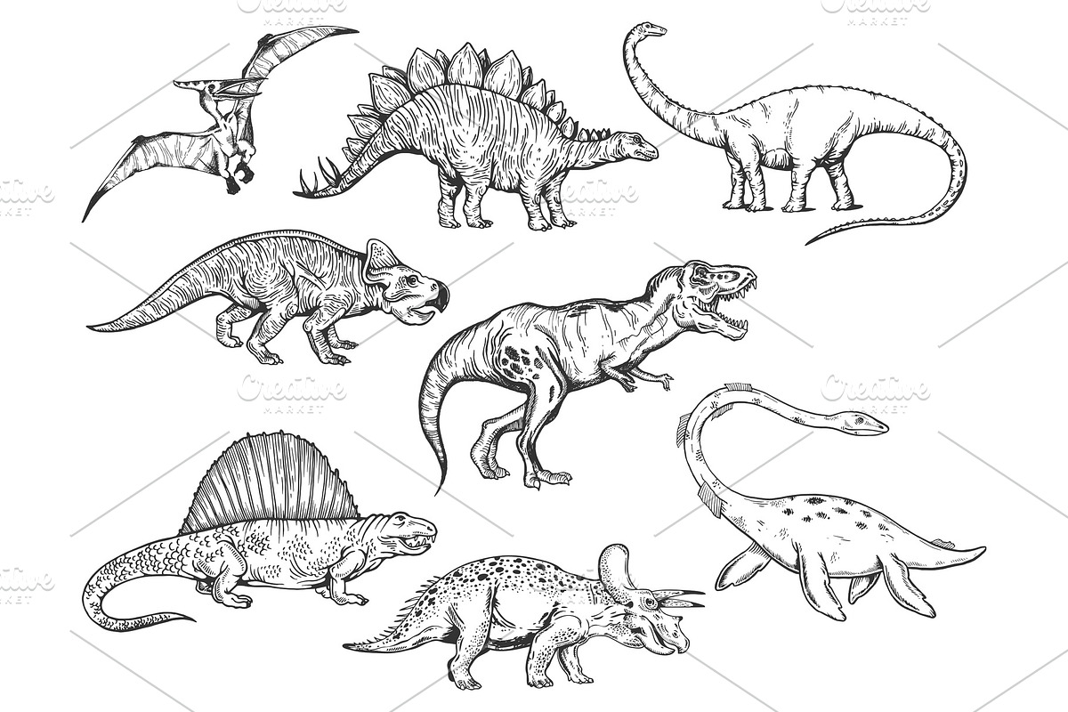 Dinosaur set sketch engraving in Illustrations - product preview 8