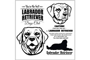 Labrador Retriever Dog - vector set