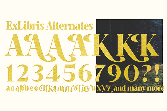 Ex Libris Flared Serif in Serif Fonts - product preview 8