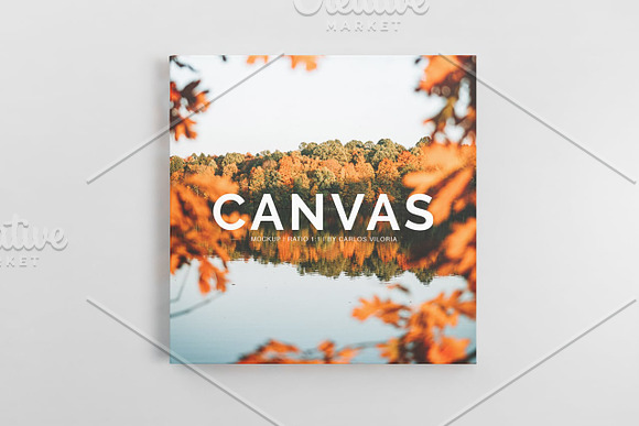 Square Canvas Ratio 1x1 Mockup 05 in Mockup Templates - product preview 1