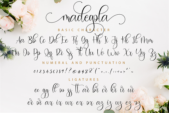 Madegola Script in Script Fonts - product preview 10