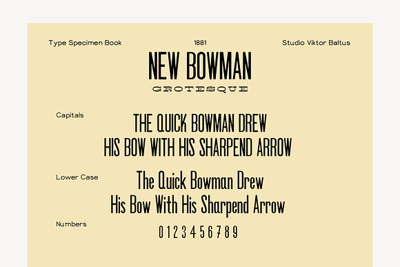 New Bowman Font Bundle (+ webfonts) in Display Fonts - product preview 5