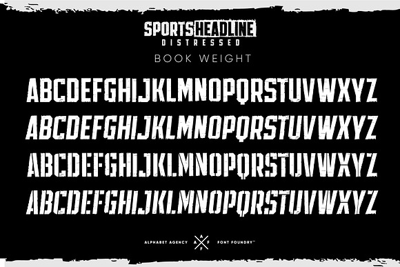 SPORTS HEADLINE DISTRESSED BUNDLE in Display Fonts - product preview 3