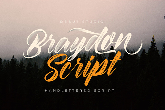 Braydon Script in Script Fonts - product preview 2