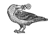 Raven with rose in beak sketch