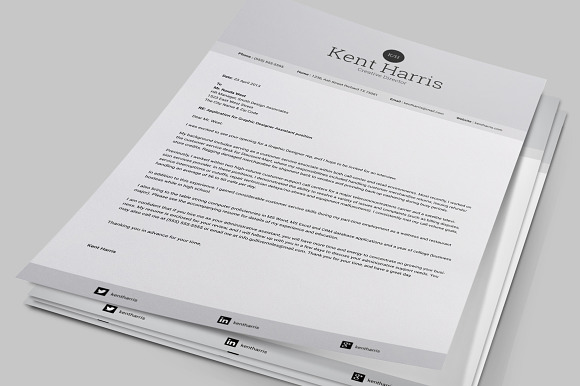 Incredible Single Page Resume in Letter Templates - product preview 4