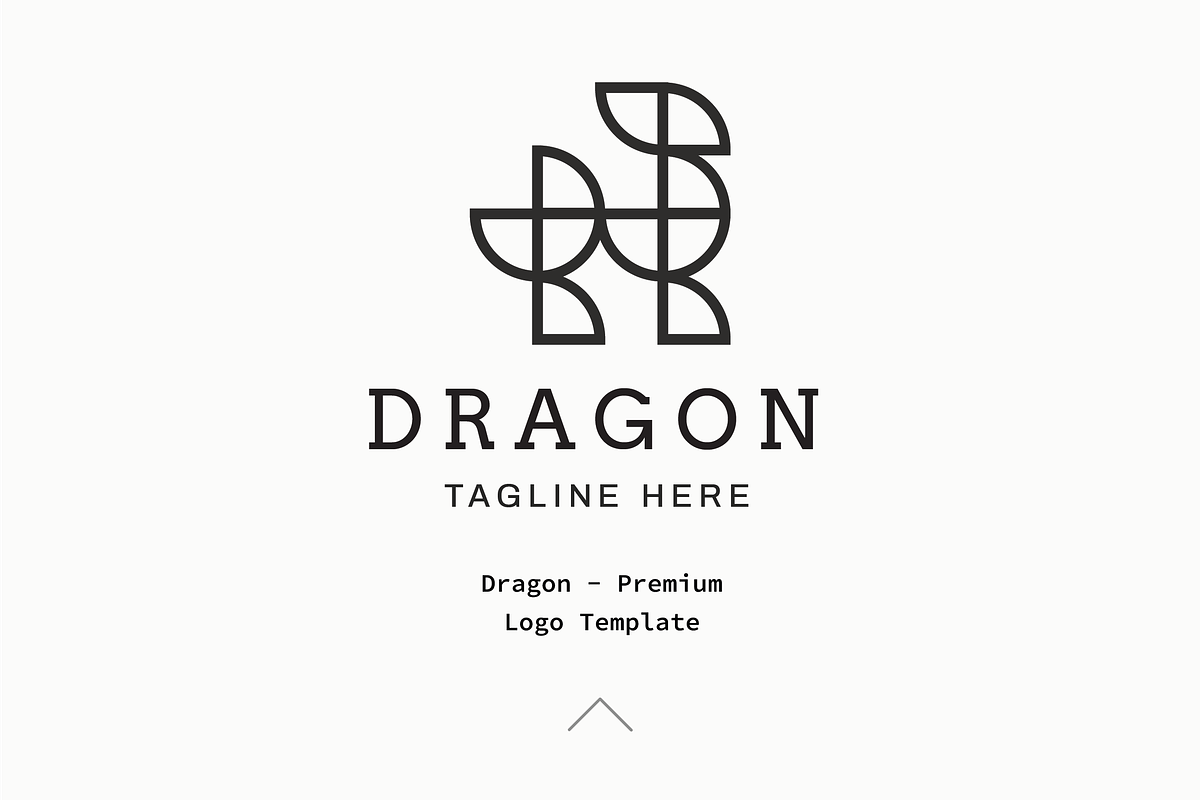 Dragon - Premium Logo Template in Logo Templates - product preview 8