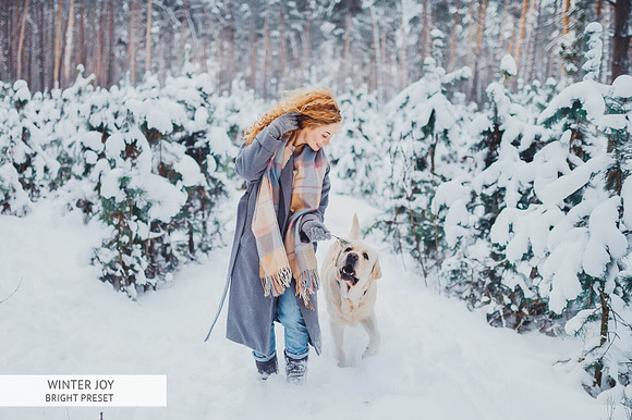 Winter Joy Mobile Presets in Add-Ons - product preview 7