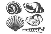 Seashells icons