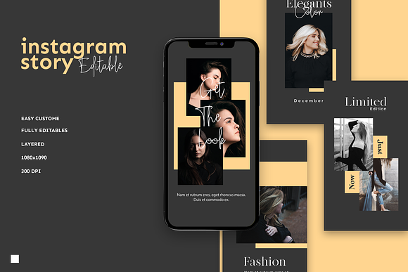 Instagram Stories Template in Instagram Templates - product preview 4