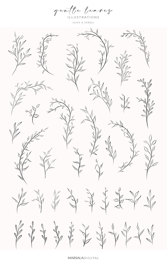 Leaves & Branches Line Art Greenery in Illustrations - product preview 3
