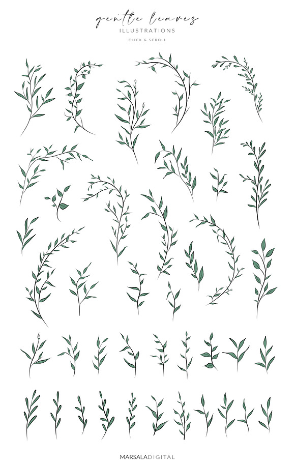 Leaves & Branches Line Art Greenery in Illustrations - product preview 7