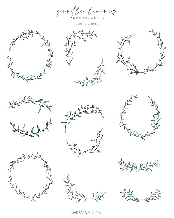 Leaves & Branches Line Art Greenery in Illustrations - product preview 8