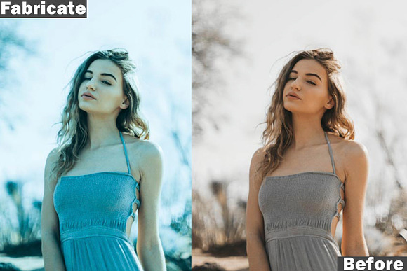 10 Premium Lightroom Presets in Add-Ons - product preview 4