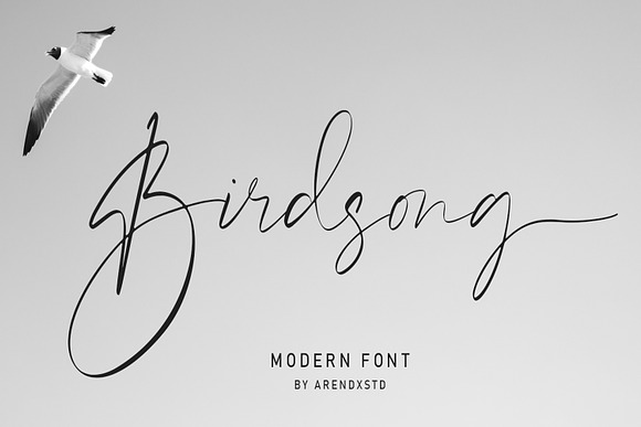 Birdsong Script in Script Fonts - product preview 4