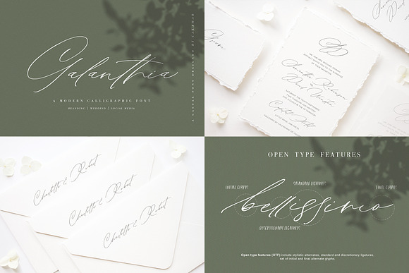 Modern Calligraphy Font Bundle in Script Fonts - product preview 4