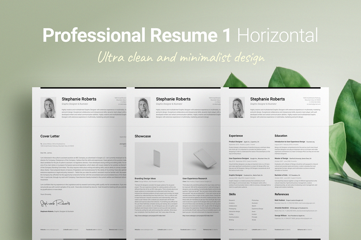 Professional Resume 1 Horizontal in Letter Templates - product preview 8