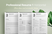 Professional Resume 1 Horizontal