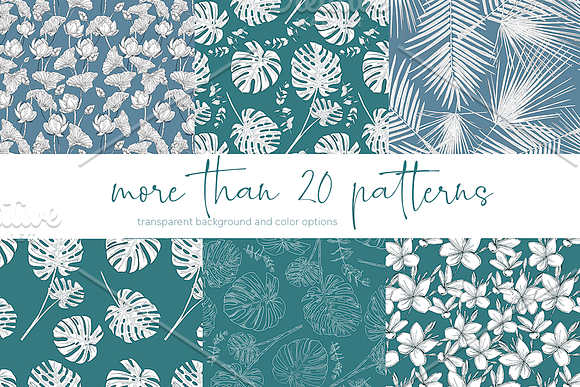 Tropical leaf collection in Illustrations - product preview 6