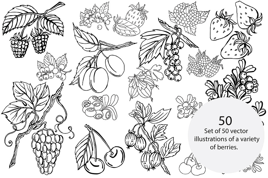 Vector berries in Illustrations - product preview 8