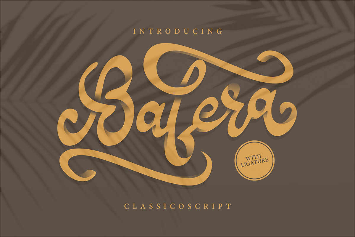 Bafera | Classico Script Font in Script Fonts - product preview 8