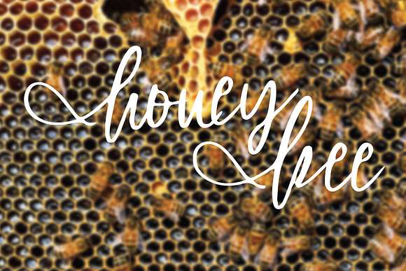 honey font in Script Fonts - product preview 2