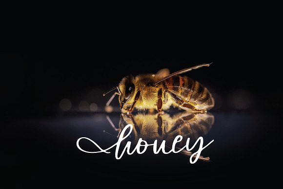 honey font in Script Fonts - product preview 3